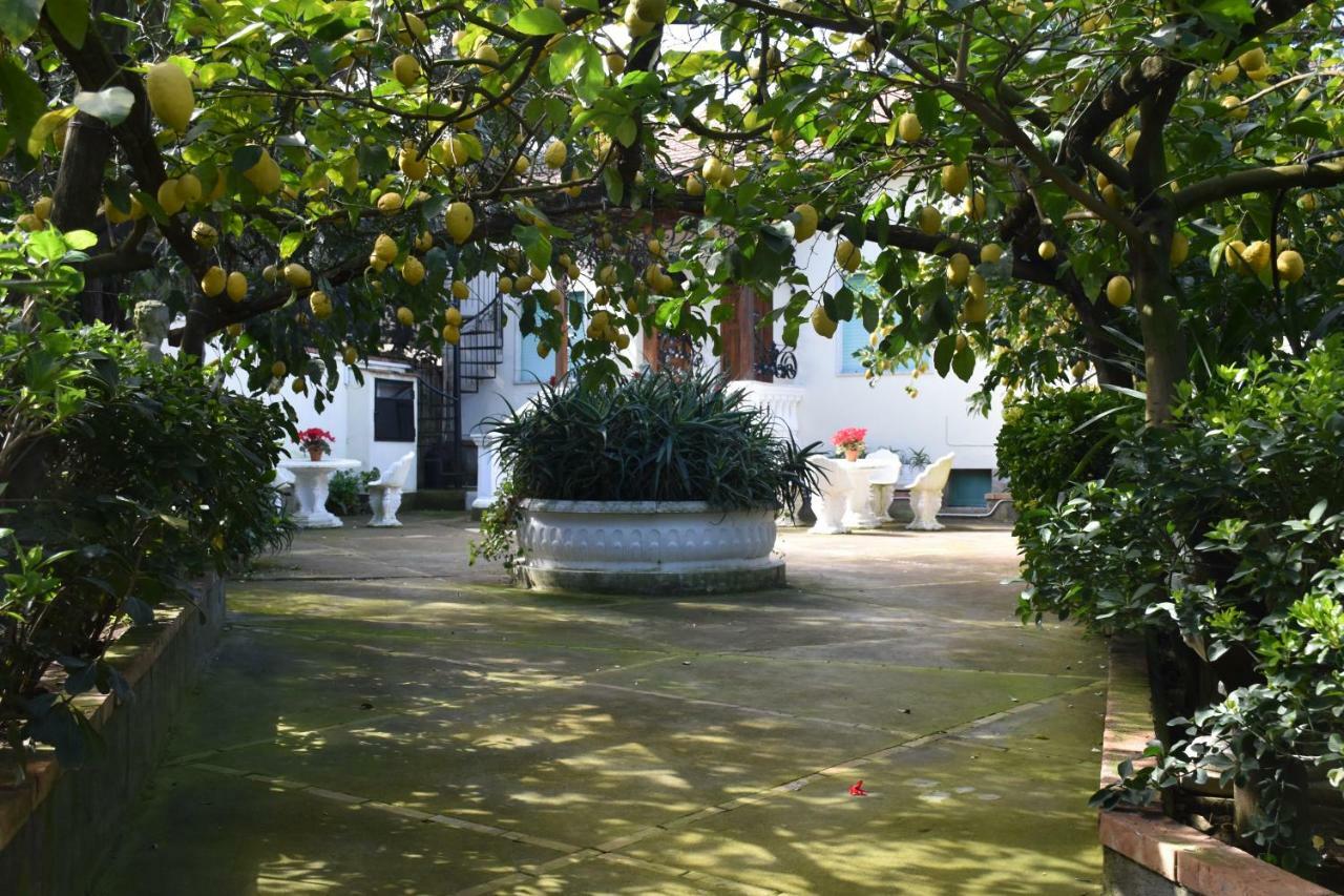 Casa Dei Limoni Apartment Massa Lubrense Ngoại thất bức ảnh